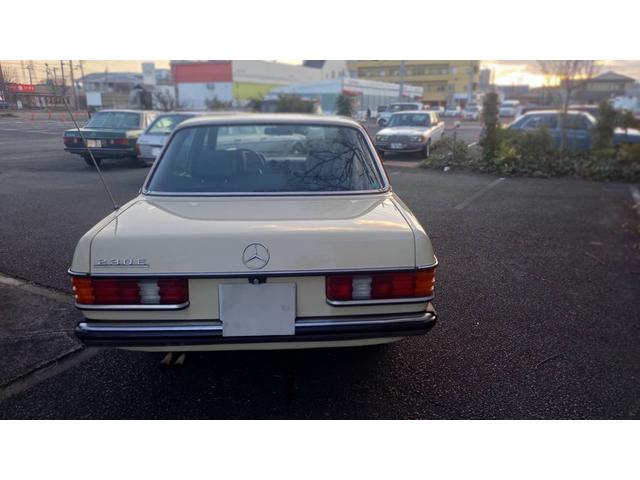 ２３０Ｅ　ｗ１２３　　ｓ１２３　　２３０Ｅ　Ｅ２３０　２８０Ｅ　３００Ｄ　オリジナルカラー　　アイボリー　　ベージュ(15枚目)