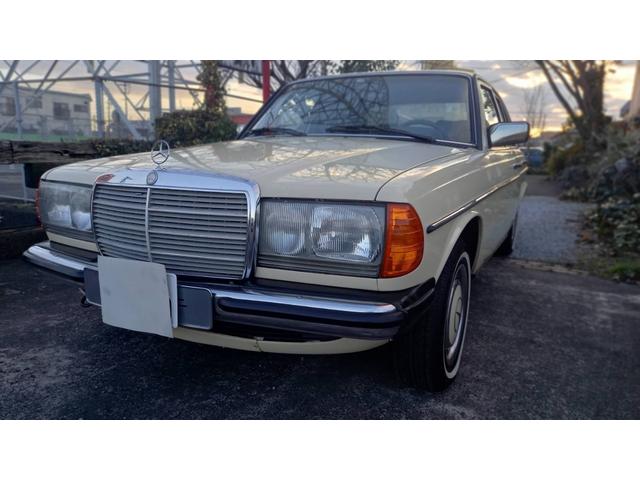 ミディアムクラス ２３０Ｅ　ｗ１２３　　ｓ１２３　　２３０Ｅ　Ｅ２３０　２８０Ｅ　３００Ｄ　オリジナルカラー　　アイボリー　　ベージュ（20枚目）