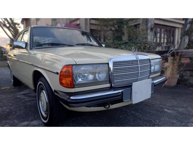 ２３０Ｅ　ｗ１２３　　ｓ１２３　　２３０Ｅ　Ｅ２３０　２８０Ｅ　３００Ｄ　オリジナルカラー　　アイボリー　　ベージュ(21枚目)