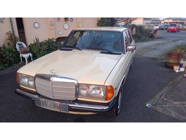 ミディアムクラス ２３０Ｅ　ｗ１２３　　ｓ１２３　　２３０Ｅ　Ｅ２３０　２８０Ｅ　３００Ｄ　オリジナルカラー　　アイボリー　　ベージュ（23枚目）