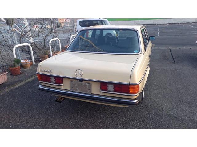 ミディアムクラス ２３０Ｅ　ｗ１２３　　ｓ１２３　　２３０Ｅ　Ｅ２３０　２８０Ｅ　３００Ｄ　オリジナルカラー　　アイボリー　　ベージュ（35枚目）