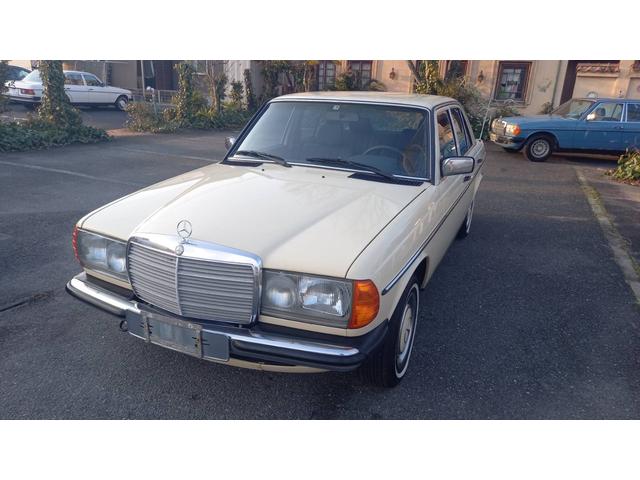 ミディアムクラス ２３０Ｅ　ｗ１２３　　ｓ１２３　　２３０Ｅ　Ｅ２３０　２８０Ｅ　３００Ｄ　オリジナルカラー　　アイボリー　　ベージュ（41枚目）