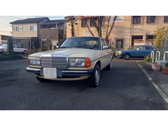 ミディアムクラス ２３０Ｅ　ｗ１２３　　ｓ１２３　　２３０Ｅ　Ｅ２３０　２８０Ｅ　３００Ｄ　オリジナルカラー　　アイボリー　　ベージュ（57枚目）