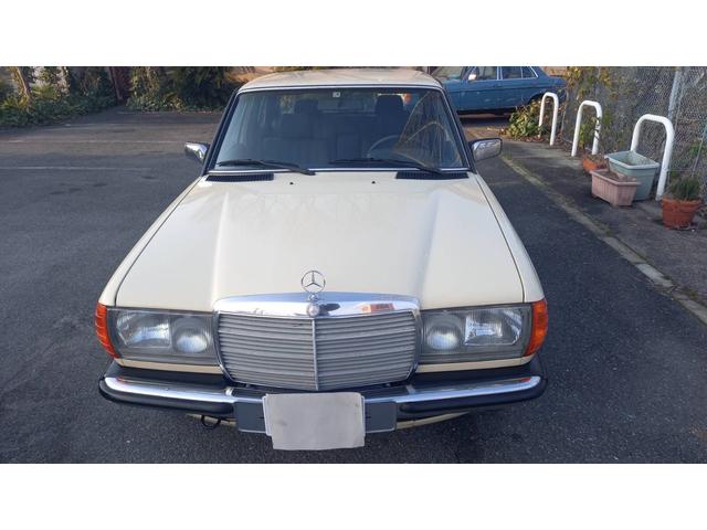 ミディアムクラス ２３０Ｅ　ｗ１２３　　ｓ１２３　　２３０Ｅ　Ｅ２３０　２８０Ｅ　３００Ｄ　オリジナルカラー　　アイボリー　　ベージュ（58枚目）