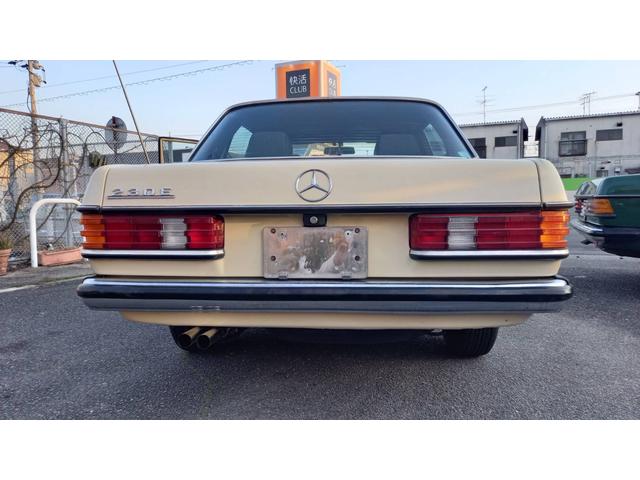 ミディアムクラス ２３０Ｅ　ｗ１２３　　ｓ１２３　　２３０Ｅ　Ｅ２３０　２８０Ｅ　３００Ｄ　オリジナルカラー　　アイボリー　　ベージュ（60枚目）