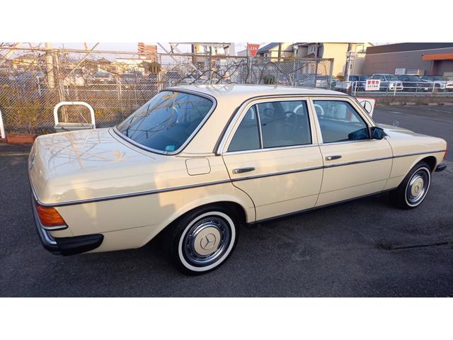 ２３０Ｅ　ｗ１２３　　ｓ１２３　　２３０Ｅ　Ｅ２３０　２８０Ｅ　３００Ｄ　オリジナルカラー　　アイボリー　　ベージュ(62枚目)