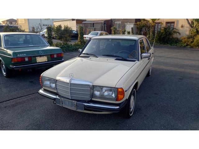 ミディアムクラス ２３０Ｅ　ｗ１２３　　ｓ１２３　　２３０Ｅ　Ｅ２３０　２８０Ｅ　３００Ｄ　オリジナルカラー　　アイボリー　　ベージュ（75枚目）