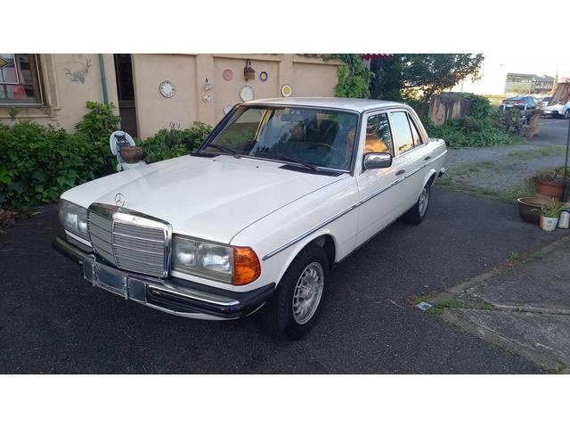 ミディアムクラス ３００Ｄターボ　ターボディーゼル　３００ＤＴ　　３００Ｄ　　３００Ｄターボ　　Ｗ１２３　２３０Ｅ２８０Ｅディラー車　　　ガレージ保管（18枚目）