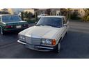 ２３０Ｅ　ｗ１２３　　ｓ１２３　　２３０Ｅ　Ｅ２３０　２８０Ｅ　３００Ｄ　オリジナルカラー　　アイボリー　　ベージュ（75枚目）