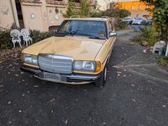 ߥǥ९饹 ԣĥܡǽǥ롡󿧥쥶ȡ;ꣳ󥷡ȡţԣ 0202428A30251123W001 2