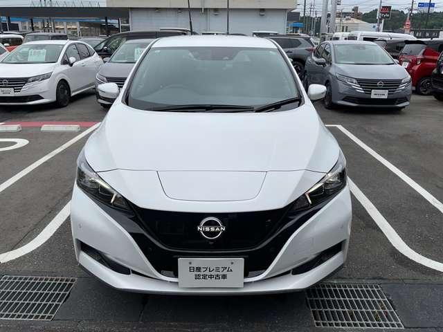 リーフ e+ X メモリーナビゲーション アラウンドビュー プロパイロット 16インチアルミ スマートルームミラー シートヒーター ハンドルヒーター LEDヘッドランプ ハイビームアシスト インテリジェントキー(46枚目)