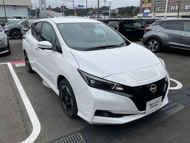 リーフ e+ X メモリーナビゲーション アラウンドビュー プロパイロット 16インチアルミ スマートルームミラー シートヒーター ハンドルヒーター LEDヘッドランプ ハイビームアシスト インテリジェントキー(47枚目)