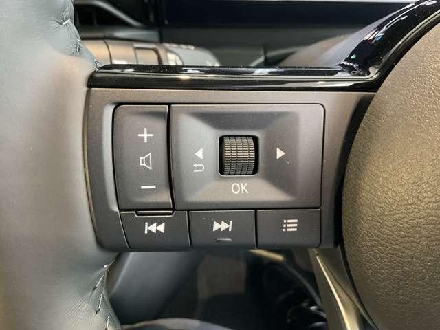 セレナ ｅ－パワー　ハイウェイスターＶ　雹害車／１００Ｖ　ＡＣ電源（１５００Ｗ）・寒冷地仕様（ホットプラスパック）＋不凍液＋ＰＴＣ素子ヒーター・アラモニター・インテリルームミラー・ドラレコ・ＬＥＤヘッドライト・ＮＣナビ・ＥＴＣ２．０・ＳＯＳ（33枚目）