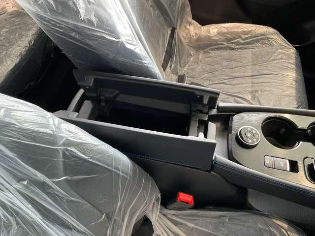 エクストレイル オーテック アドバンスドパッケージ e-4ORCE 雹害車/ニッサンコネクトナビゲーションシステム・SOSコール・インテリジェントルームミラー・アラウンドビューモニター・プロパイロット・左右後席温度調整独立制御エアコン・ワイヤレス充電器・ETC車載器(24枚目)