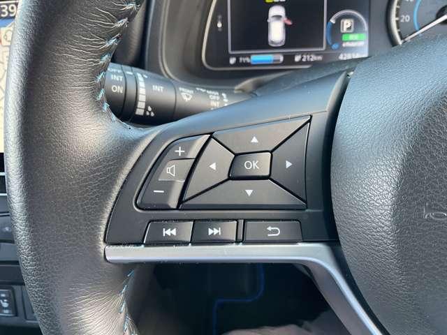 リーフ Ｘ　メーカーオプションナビ・１６インチアルミ・アラウンドビューモニター・前席シートヒーター・オートスピードコントロール・ＥＴＣ・社外製ドラレコ（Ｆ＆Ｒ）・セキュリティ＆セーフティーパックスタンダード（34枚目）