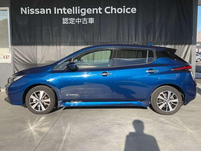 リーフ Ｘ　メーカーオプションナビ・１６インチアルミ・アラウンドビューモニター・前席シートヒーター・オートスピードコントロール・ＥＴＣ・社外製ドラレコ（Ｆ＆Ｒ）・セキュリティ＆セーフティーパックスタンダード（71枚目）