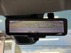 ǥ롼ߥ顼ʪαƶ뤳Ȥʤλ볦ꥢˤʤޤ 5