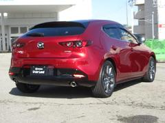 ѥͥ˥饯饤ʤȤǡդ˸Ԥ˶ʥ饯ݤŤ뤳Ȥ̵Υǥ 2