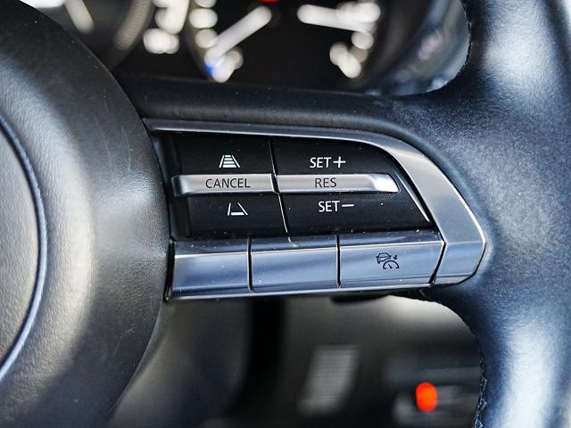 ＣＸ－３０ ＸＤ　プロアクティブ　衝突被害軽減システム　アダプティブクルーズコントロール　オートマチックハイビーム　４ＷＤ　ナビ　バックカメラ　オートライト　ＬＥＤヘッドランプ　ＥＴＣ　Ｂｌｕｅｔｏｏｔｈ　電動リアゲート　ディーゼル（13枚目）