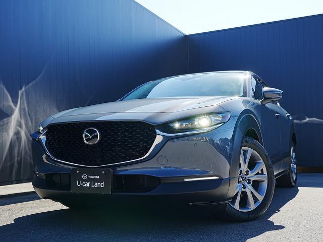 ＣＸ－３０ ＸＤ　プロアクティブ　衝突被害軽減システム　アダプティブクルーズコントロール　オートマチックハイビーム　４ＷＤ　ナビ　バックカメラ　オートライト　ＬＥＤヘッドランプ　ＥＴＣ　Ｂｌｕｅｔｏｏｔｈ　電動リアゲート　ディーゼル（18枚目）