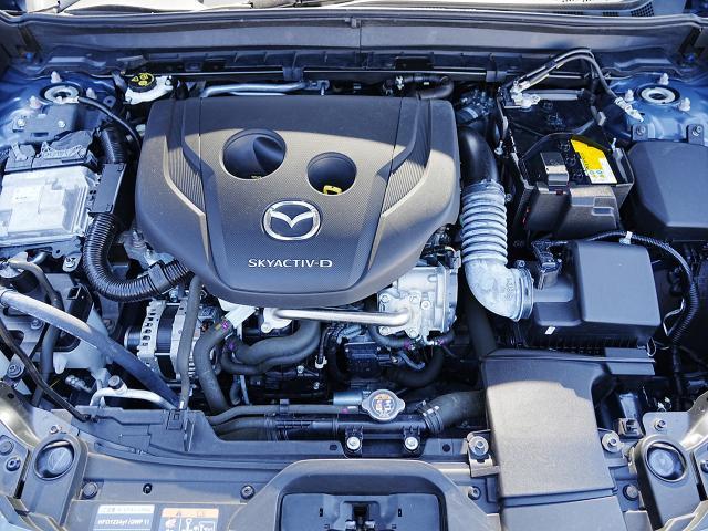 ＣＸ－３０ ＸＤ　プロアクティブ　衝突被害軽減システム　アダプティブクルーズコントロール　オートマチックハイビーム　４ＷＤ　ナビ　バックカメラ　オートライト　ＬＥＤヘッドランプ　ＥＴＣ　Ｂｌｕｅｔｏｏｔｈ　電動リアゲート　ディーゼル（20枚目）