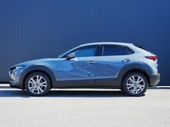 ץ쥹饤Ӥ̤Υɥӥ塼ȿͤʿαǤߤưɽƤޤ 3