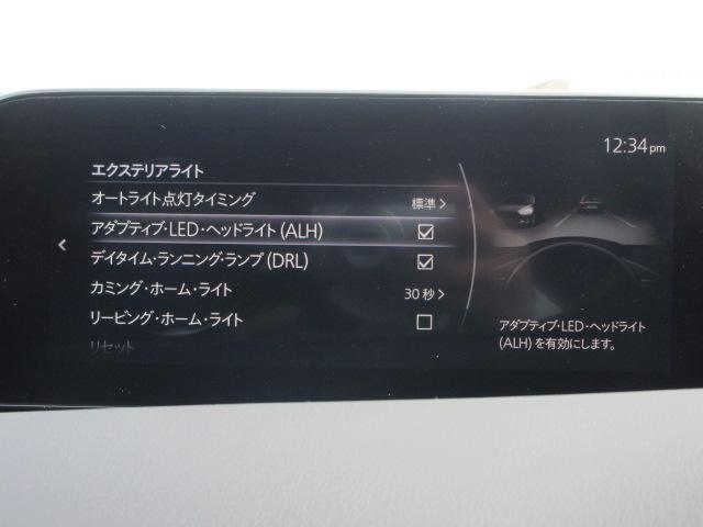 20S L-pkg デモカーアップ 360°ビューモニター(7枚目)