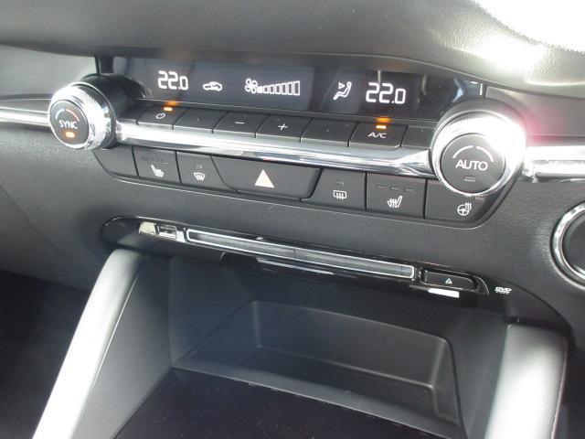 20S L-pkg デモカーアップ 360°ビューモニター(8枚目)