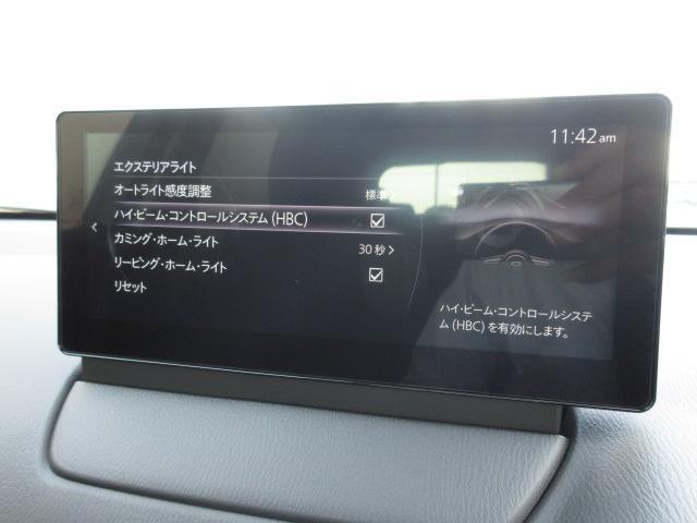 ＣＸ－３ １５Ｓ　ツーリング　衝突被害軽減システム　アダプティブクルーズコントロール　全周囲カメラ　オートマチックハイビーム　４ＷＤ　ナビ　バックカメラ　オートライト　ＬＥＤヘッドランプ　ＥＴＣ　Ｂｌｕｅｔｏｏｔｈ（10枚目）