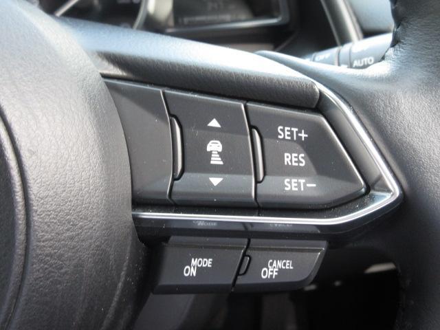 ＣＸ－３ １５Ｓ　ツーリング　衝突被害軽減システム　アダプティブクルーズコントロール　全周囲カメラ　オートマチックハイビーム　４ＷＤ　ナビ　バックカメラ　オートライト　ＬＥＤヘッドランプ　ＥＴＣ　Ｂｌｕｅｔｏｏｔｈ（13枚目）