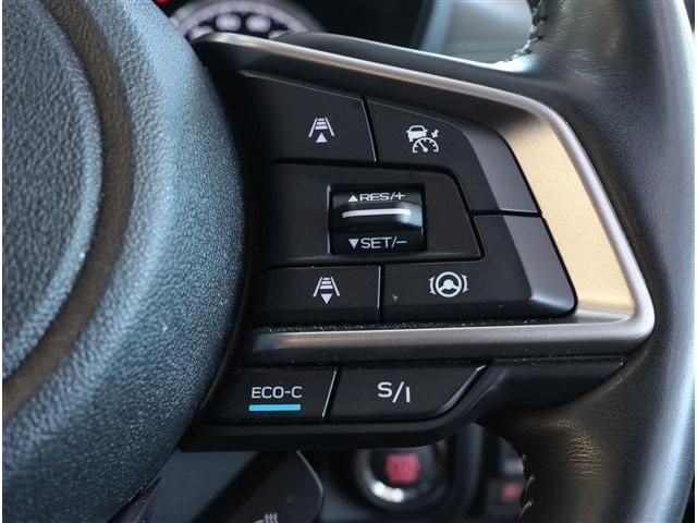 フォレスター アドバンス　衝突被害軽減ブレーキ　ブラインドスポットモニター　ＬＥＤヘッドライト　パワーシート　シートヒーター　ステアリングヒーター　スマートキー　８型ワイドナビ　フルセグＴＶ　Ｆ・Ｓ・Ｒカメラ　ＥＴＣ（19枚目）