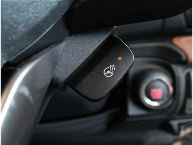 フォレスター アドバンス　衝突被害軽減ブレーキ　ブラインドスポットモニター　ＬＥＤヘッドライト　パワーシート　シートヒーター　ステアリングヒーター　スマートキー　８型ワイドナビ　フルセグＴＶ　Ｆ・Ｓ・Ｒカメラ　ＥＴＣ（21枚目）