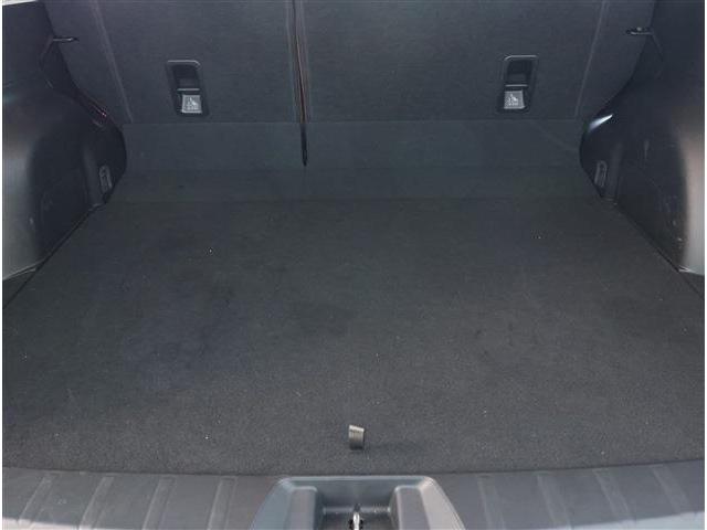 フォレスター アドバンス　衝突被害軽減ブレーキ　ブラインドスポットモニター　ＬＥＤヘッドライト　パワーシート　シートヒーター　ステアリングヒーター　スマートキー　８型ワイドナビ　フルセグＴＶ　Ｆ・Ｓ・Ｒカメラ　ＥＴＣ（28枚目）