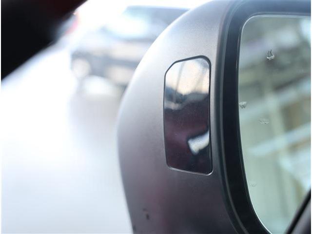 フォレスター アドバンス　衝突被害軽減ブレーキ　ブラインドスポットモニター　ＬＥＤヘッドライト　パワーシート　シートヒーター　ステアリングヒーター　スマートキー　８型ワイドナビ　フルセグＴＶ　Ｆ・Ｓ・Ｒカメラ　ＥＴＣ（30枚目）