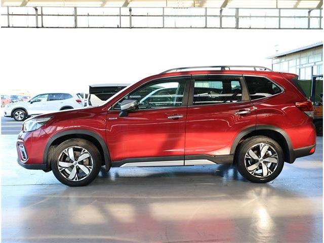 フォレスター アドバンス　衝突被害軽減ブレーキ　ブラインドスポットモニター　ＬＥＤヘッドライト　パワーシート　シートヒーター　ステアリングヒーター　スマートキー　８型ワイドナビ　フルセグＴＶ　Ｆ・Ｓ・Ｒカメラ　ＥＴＣ（36枚目）