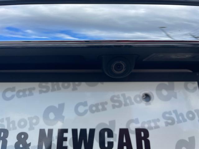 ７シリーズ ７５０Ｌｉ　ＥＮＥＲＹＧＹ仕様（48枚目）