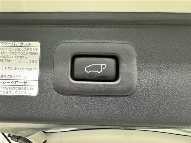 アルファード ２．５Ｓ　Ｃパッケージ　衝突被害軽減システム　メモリーナビ　フルセグ　バックカメラ　ＥＴＣ　ドラレコ　ＣＤ　ミュージックプレイヤー接続可　ＤＶＤ再生　後席モニター　サンルーフ　オートクルーズコントロール　ＬＥＤヘッドランプ（36枚目）