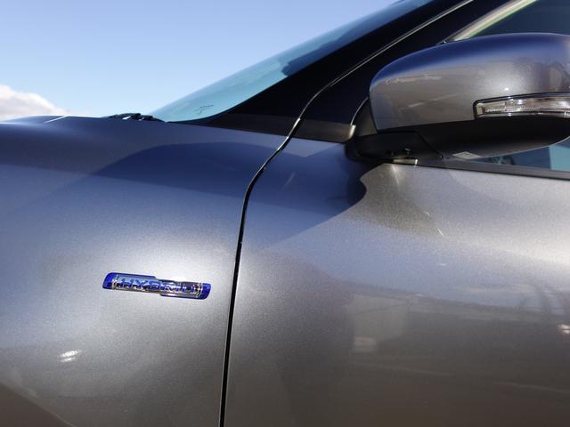 HYBRID RS 2型 DSBS LED 旧社用車(48枚目)