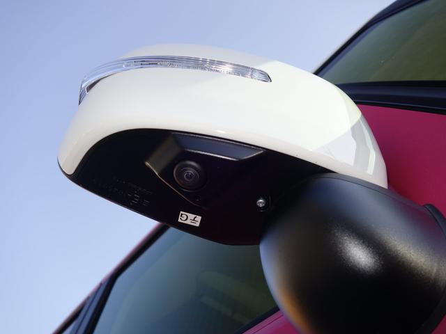 HYBRID X2型屋根白II旧社用車UPグレードPカメラP(71枚目)