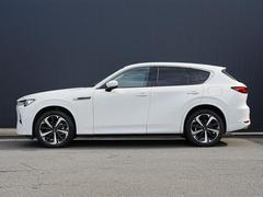 ��ư�ǥ�����Τ���ʤ뿼���ȿʲ����Ҥ��ܤǴ������롢��������������󥰡� 3