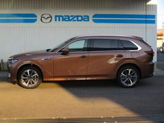 ãءݣ أġݥϥ֥åɡץߥ󡡾ﳲڸƥࡡץƥ֥롼ȥ롡ϥ 0202773A20251121R001 3