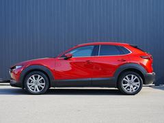 ץ쥹饤Ӥ̤Υɥӥ塼ȿͤʿαǤߤưɽƤޤ 3