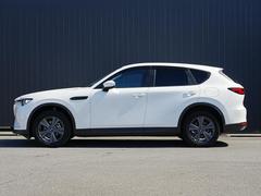 ��ư�ǥ�����Τ���ʤ뿼���ȿʲ����Ҥ��ܤǴ������롢��������������󥰡� 3