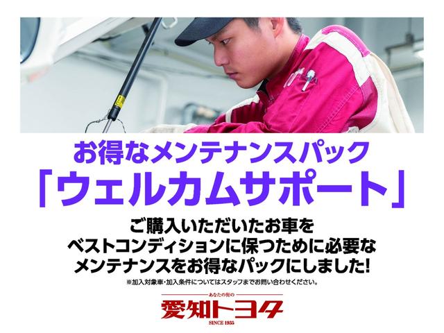 ハイブリッドX 衝突被害軽減ブレーキ ドライブレコーダー(19枚目)