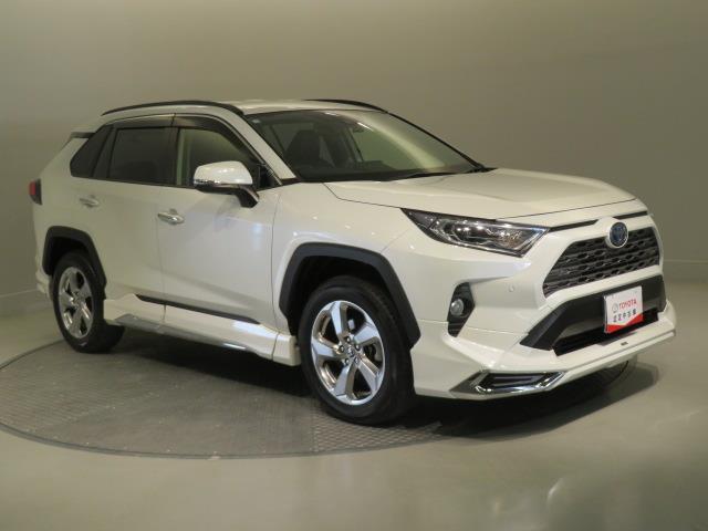 ＲＡＶ４ ハイブリッドＧ　衝突被害軽減システム　バックカメラ　ＥＴＣ　ドラレコ　電動シート　オートクルーズコントロール　ＬＥＤヘッドランプ　スマートキー　キーレス　４ＷＤ　ハイブリッド　ワンオーナー（7枚目）