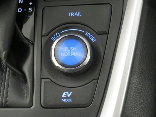 ＲＡＶ４ ハイブリッドアドベンチャー　衝突被害軽減システム　バックカメラ　ＥＴＣ　ミュージックプレイヤー接続可　電動シート　オートクルーズコントロール　ＬＥＤヘッドランプ　スマートキー　キーレス　４ＷＤ　ハイブリッド　ワンオーナー（34枚目）