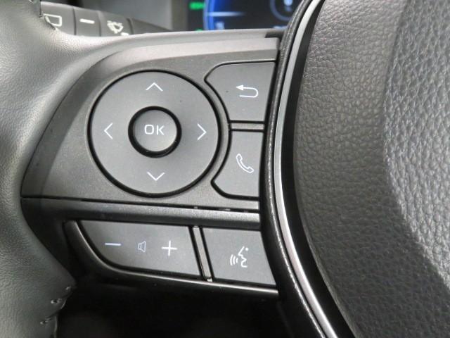 RAV4 ハイブリッドG 衝突被害軽減システム ETC ドラレコ サンルーフ 電動シート オートクルーズコントロール LEDヘッドランプ スマートキー キーレス 4WD ハイブリッド ワンオーナー(22枚目)