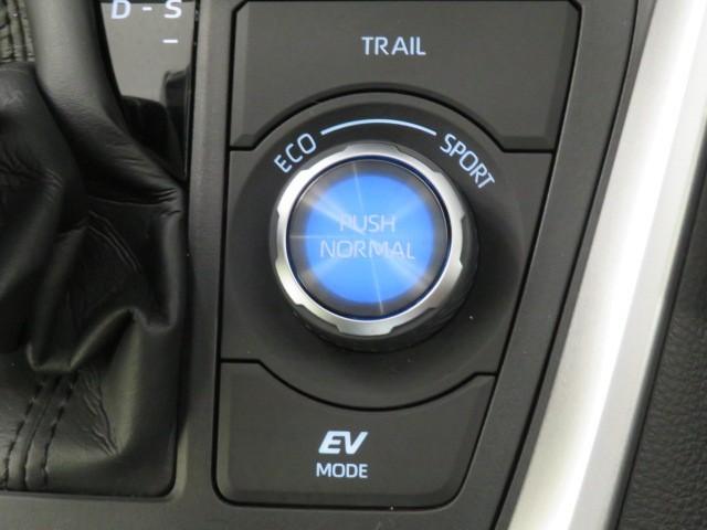 RAV4 ハイブリッドG 衝突被害軽減システム ETC ドラレコ サンルーフ 電動シート オートクルーズコントロール LEDヘッドランプ スマートキー キーレス 4WD ハイブリッド ワンオーナー(34枚目)