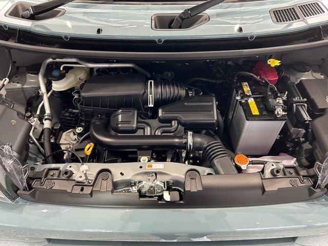 タフト Ｘ　届出済未使用　メーカー保証付　被害軽減ブレーキ　電動パーキングブレーキ　プッシュボタンスタート　スカイフィールトップ　キーフリーシステム　オートブレーキホールド機能　バックカメラ　ＵＳＢソケット（20枚目）