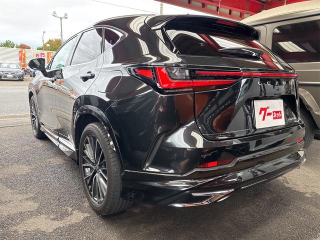 NX NX250 バージョンL ドライブレコーダー 全周囲カメラ クリアランスソナー オートクルーズコントロール レーンアシスト パワーシート 衝突被害軽減システム サンルーフ フルセグナビ オートマチックハイビーム オートライト(22枚目)